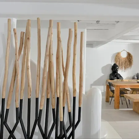 Tohu Mykonos ヴィラ オルノス