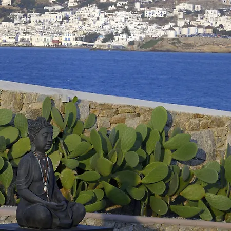 Tohu Mykonos * Ornos (Mykonos)